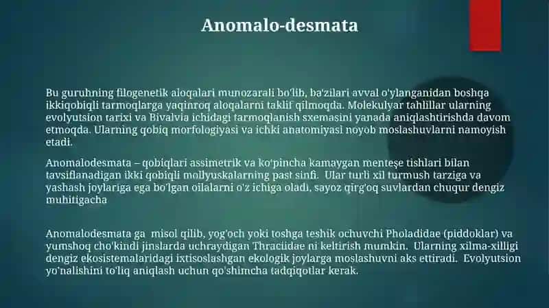 Mollyuskalar tipi haqida 3