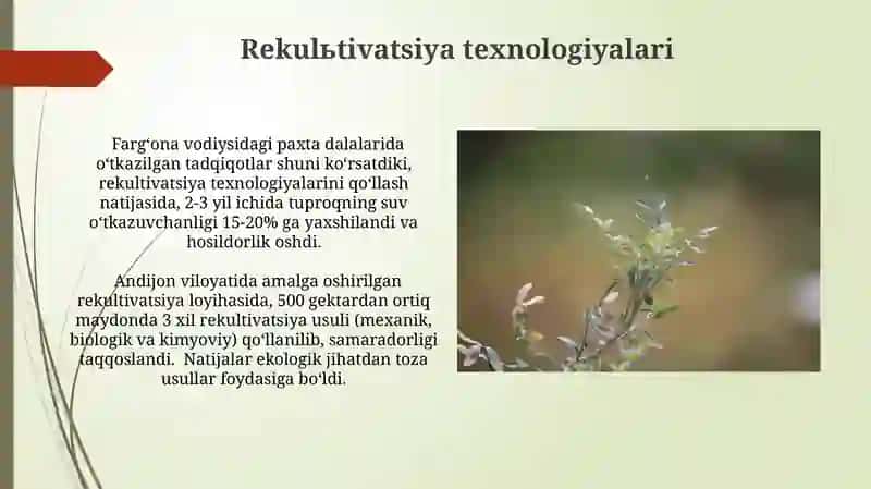 Rekulьtivatsiya texnologiyalari 3