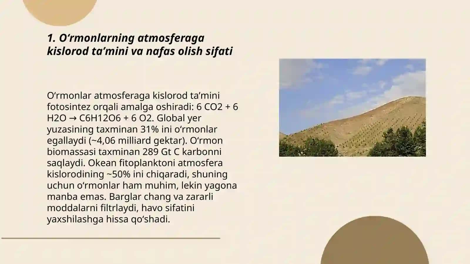 Oʻrmon boyliklari haqida qiziqarli maʼlumotlar 3