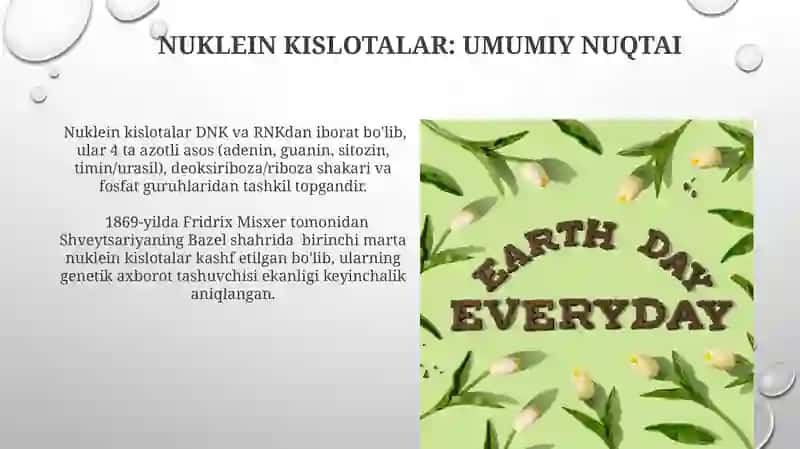 Nuklein kislotalar va ularning kimyoviy tarkibi 3