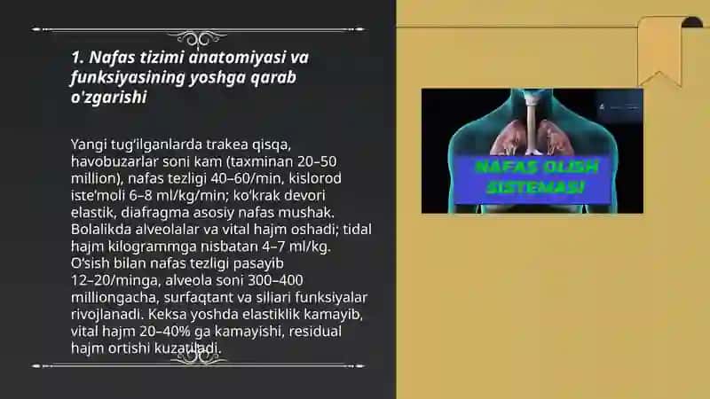 Nafas tizimining yosh xususiyati va gigiyenasi 3