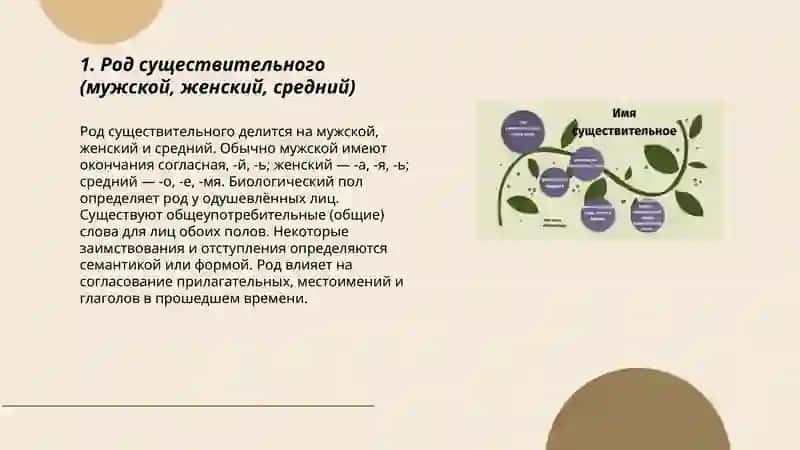 Род существительного (мужской, женский, средний) 3