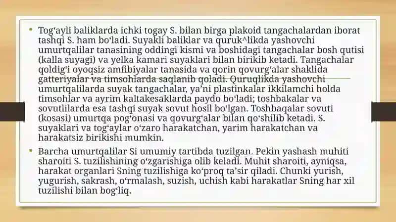 Skelet va uning bo'ylamlari haqida ta'limot 3