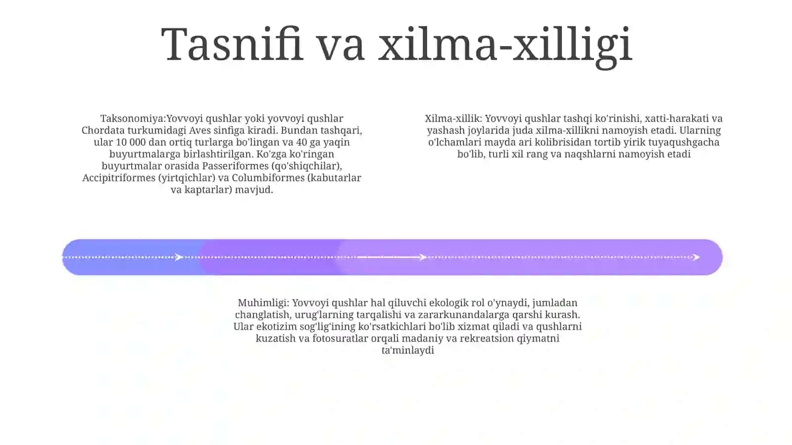 Yovvoyi Qushlar 3
