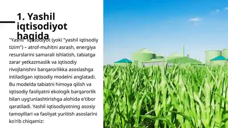 Yashil iqtisodiyotni yaratish va faoliyat yuritish asoslari 3