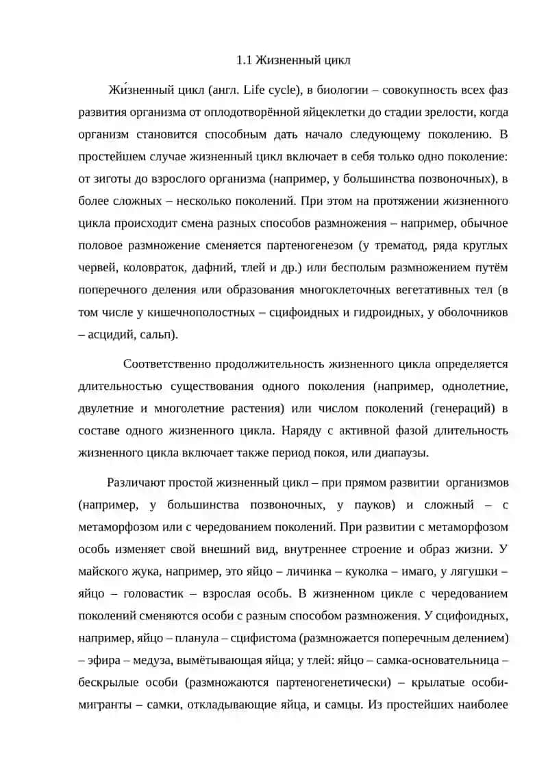 Жизненный цикл у животных 3