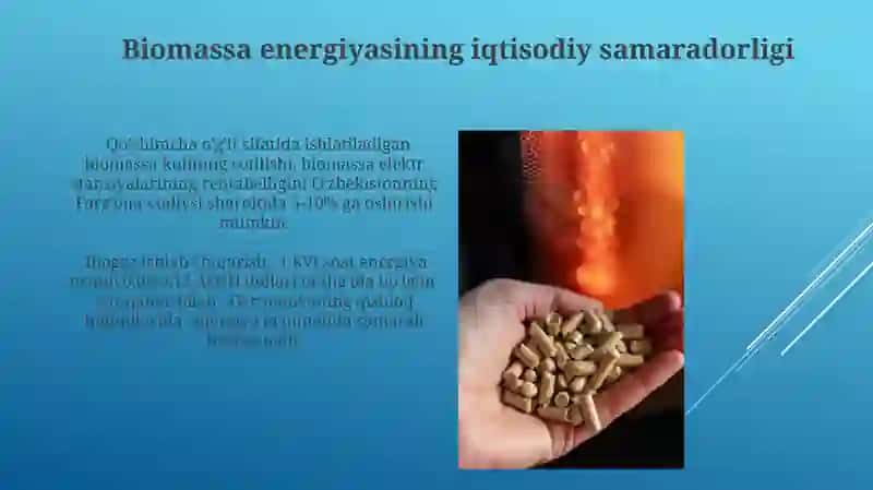 Biomassadan energiya olishning asosiy usullar 3