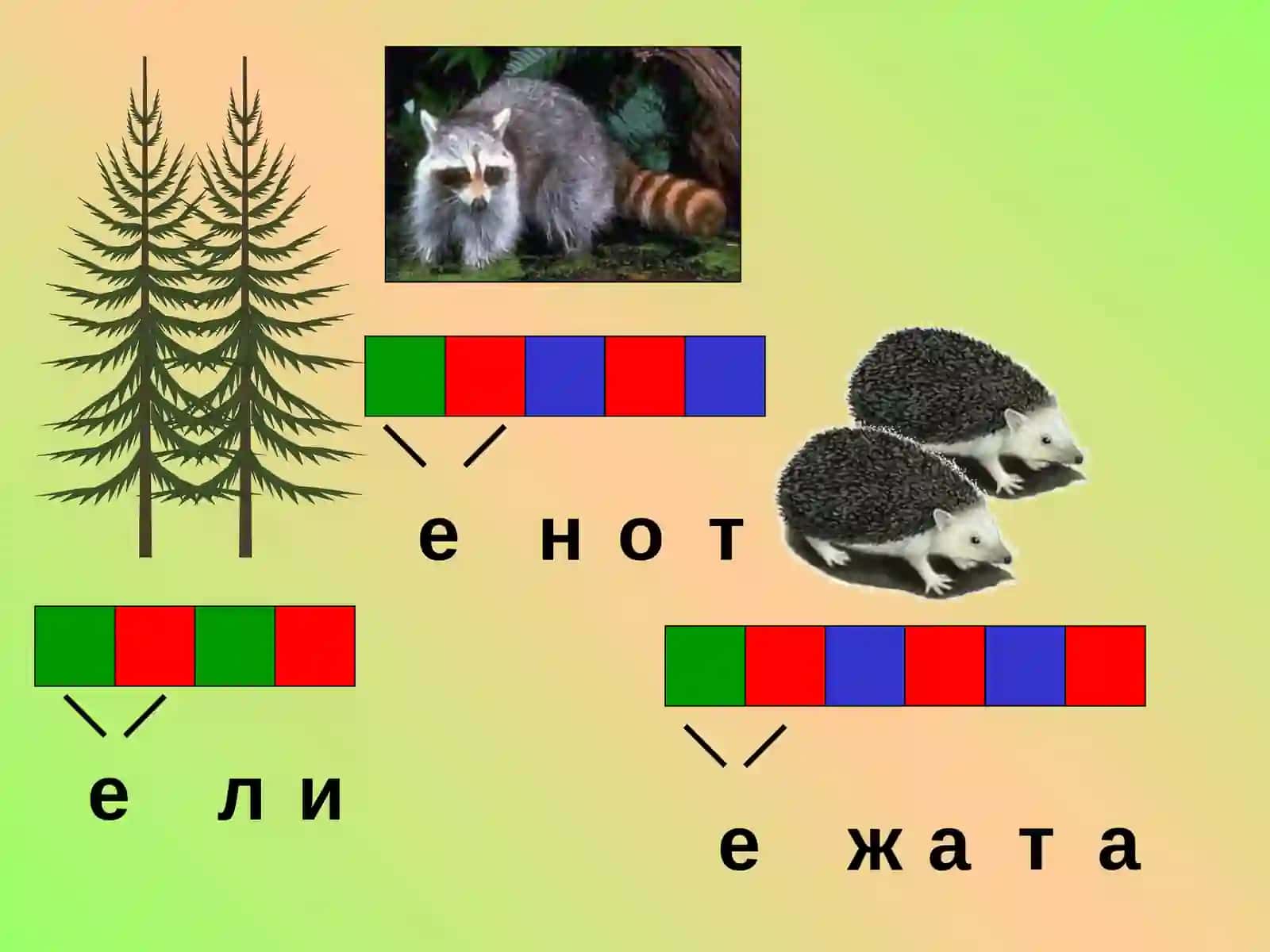СЛОВО, ПРЕДЛОЖЕНИЕ, РЕЧЬ, СЛОГ, ЗВУК, ГЛАСНЫЙ, СОГЛАСНЫЙ, ТВЁРДЫЙ, МЯГКИЙ, БЕЗУДАРНЫЙ, ГЛУХОЙ, ЗВОНКИЙ, УДАРНЫЙ 3