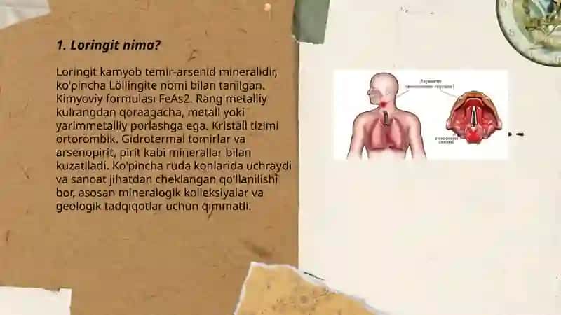 Loringit 3