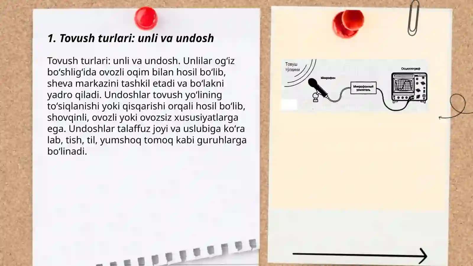 Tovuw turlari va oqustik reojomasini hosil boʼlishi 3