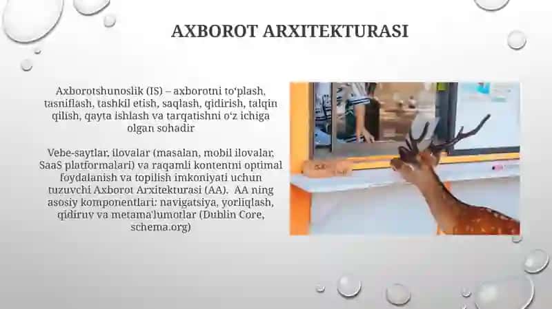Axborot Arxitekturasi 3
