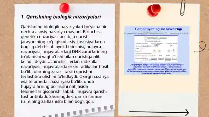 Qarish va u bilan bog’liq nazariyalar.Gerantologiya. Geratriya 3