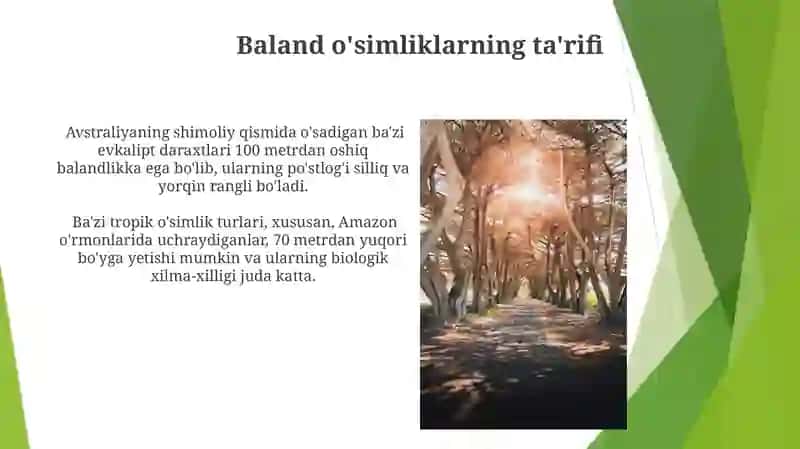 Tuban yuksak o'simliklar 3