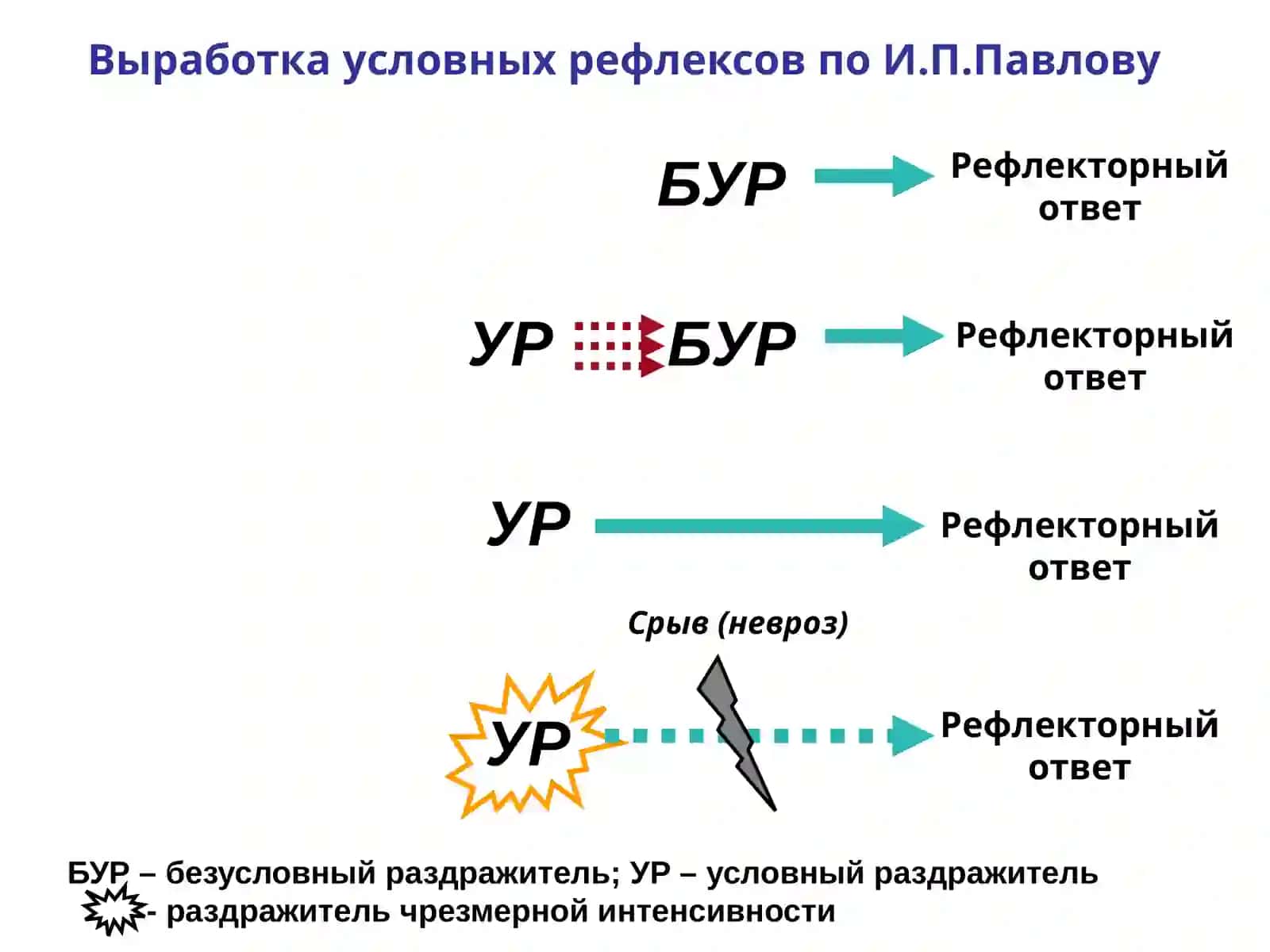 НЕВРОЗЫ 3