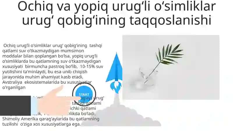 Ochiq va yopiq urug'li o'simliklar urug'kurtagining tuzulishi 3