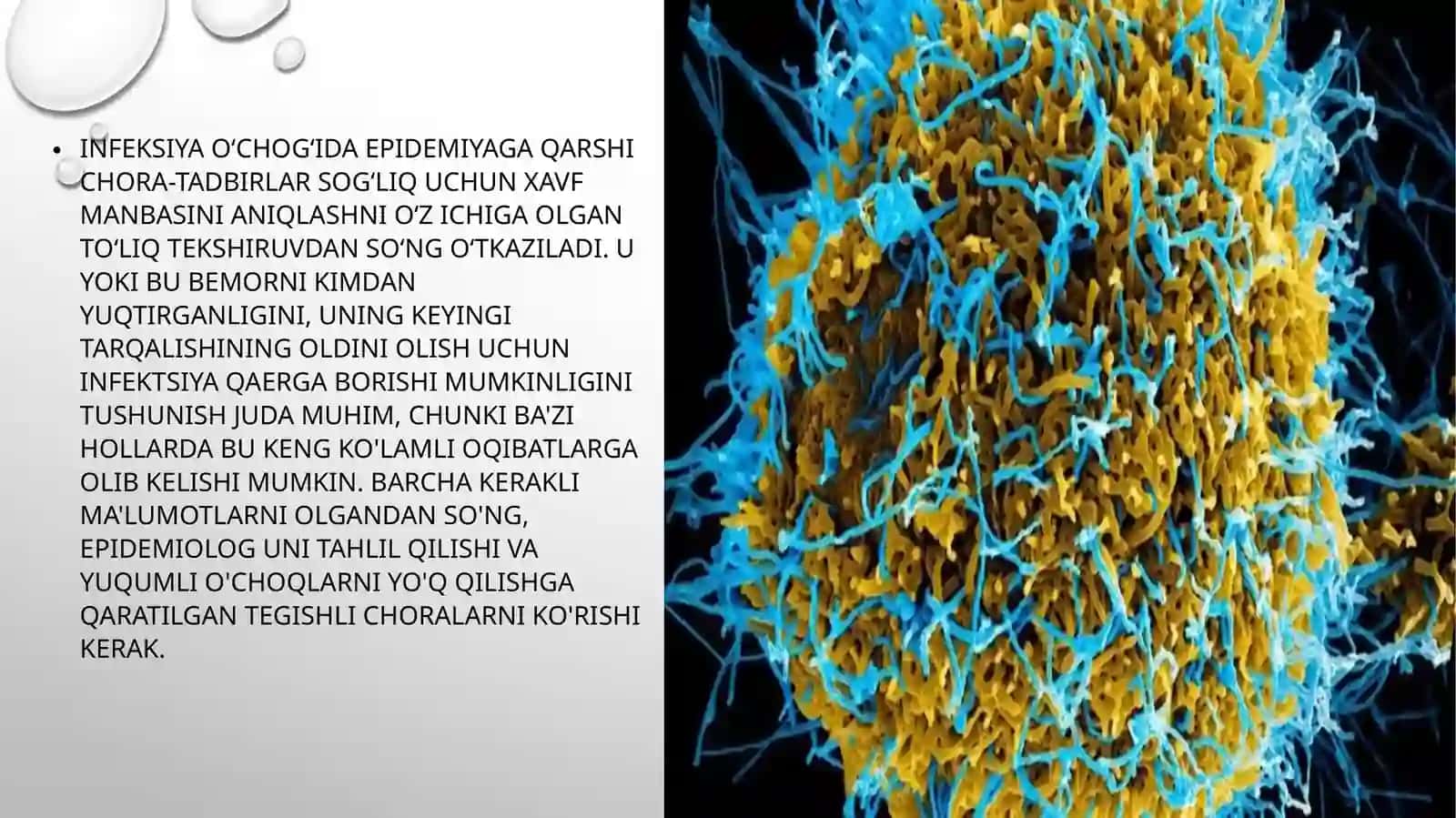 favqulotda epidemiologik holatlarda profilaktik va epidemiyaga qarshi chora – tadbirlarni tashkillashtirish xususiyatlari 3