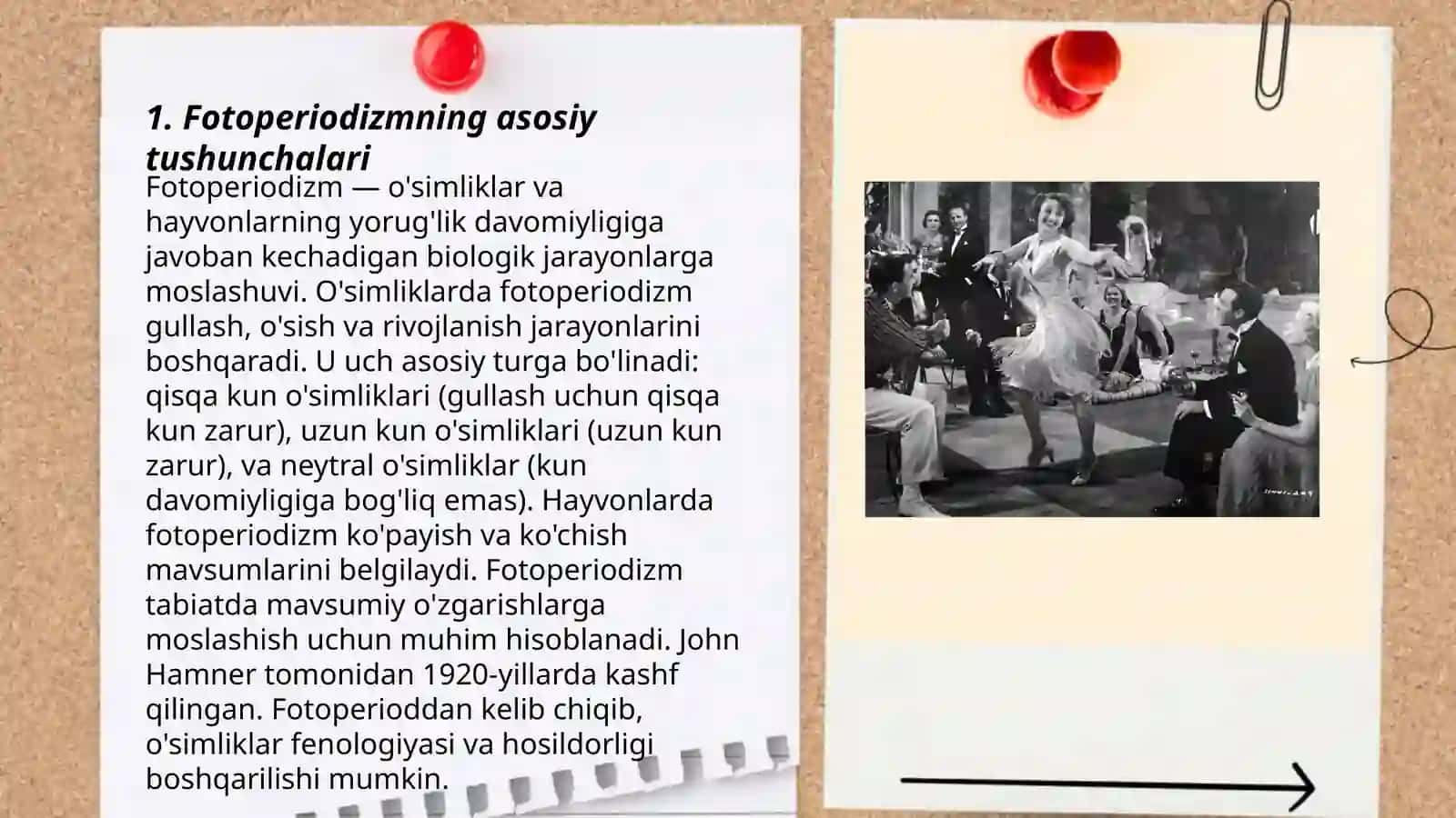 Fotoperiodizm, yorug'likning organizmlar uchun ahamiyati 3