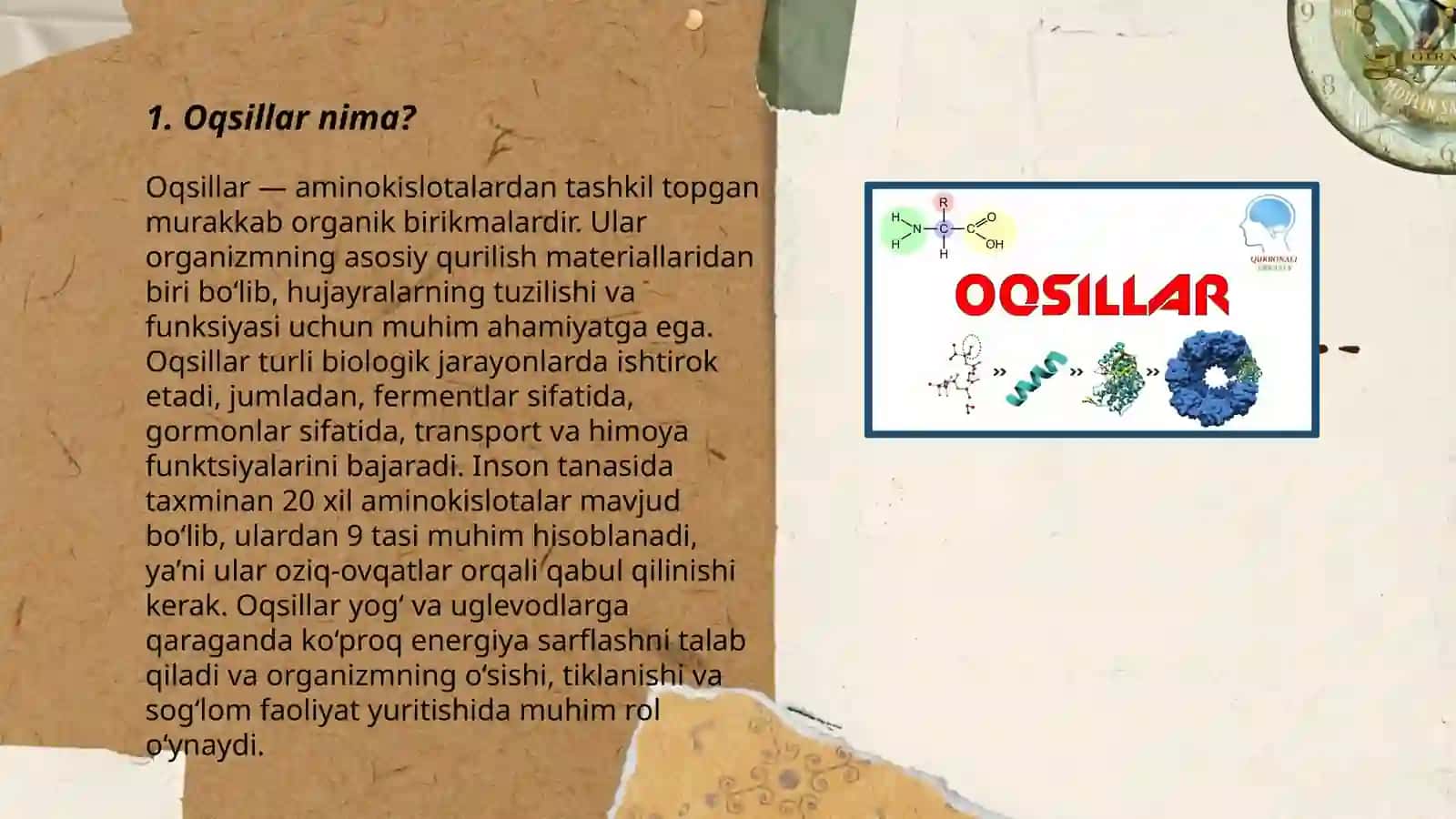 Oqsillarni tarkibi va tuzilishi. Shavkatbekov 3