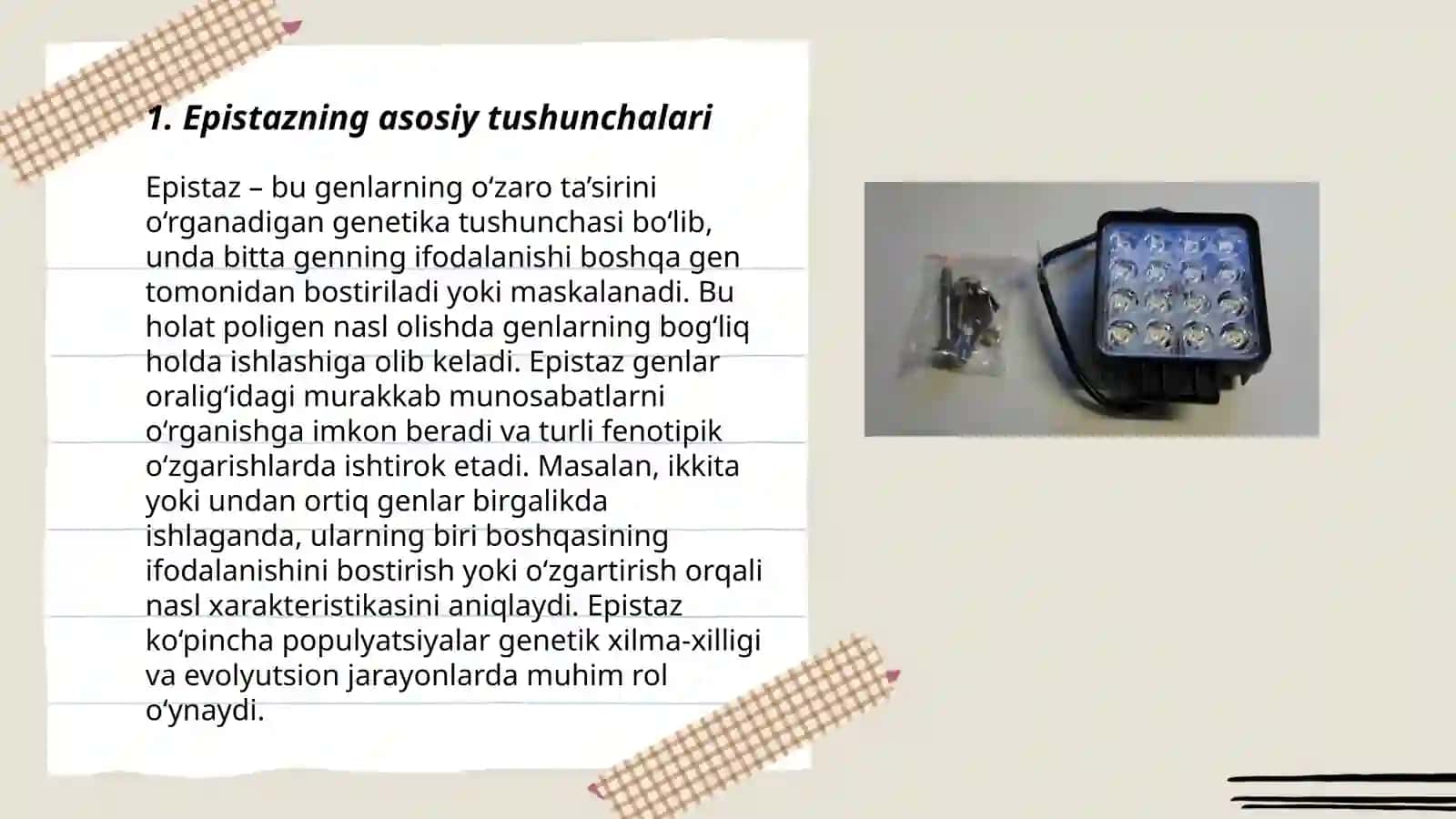 Epistaz ta'sir 3