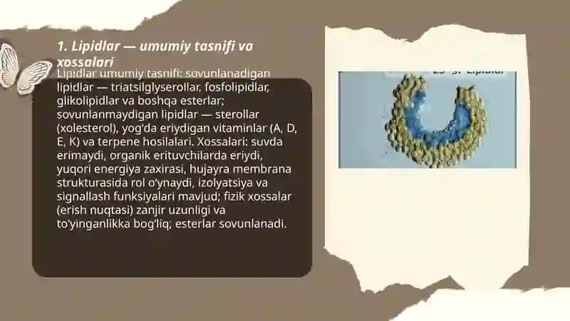 Lipidlar.Sovunlanadigan va sovunlanmaydigan lipidlar. 3