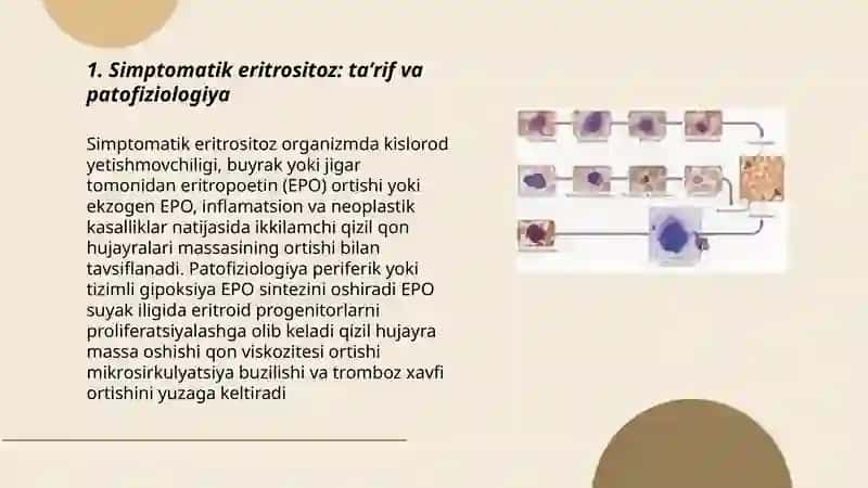 Simptomatik eritrositoz. Megakariotsitar leykoz 3