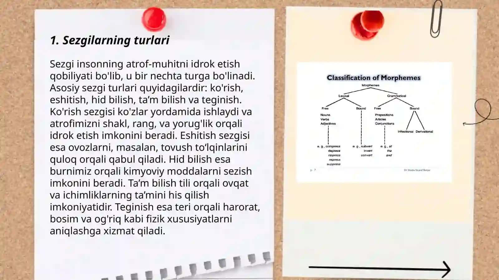 Sezgilarning klassifikatsiyasi va sezgilarning oʻzgaruvchan shakllari 3