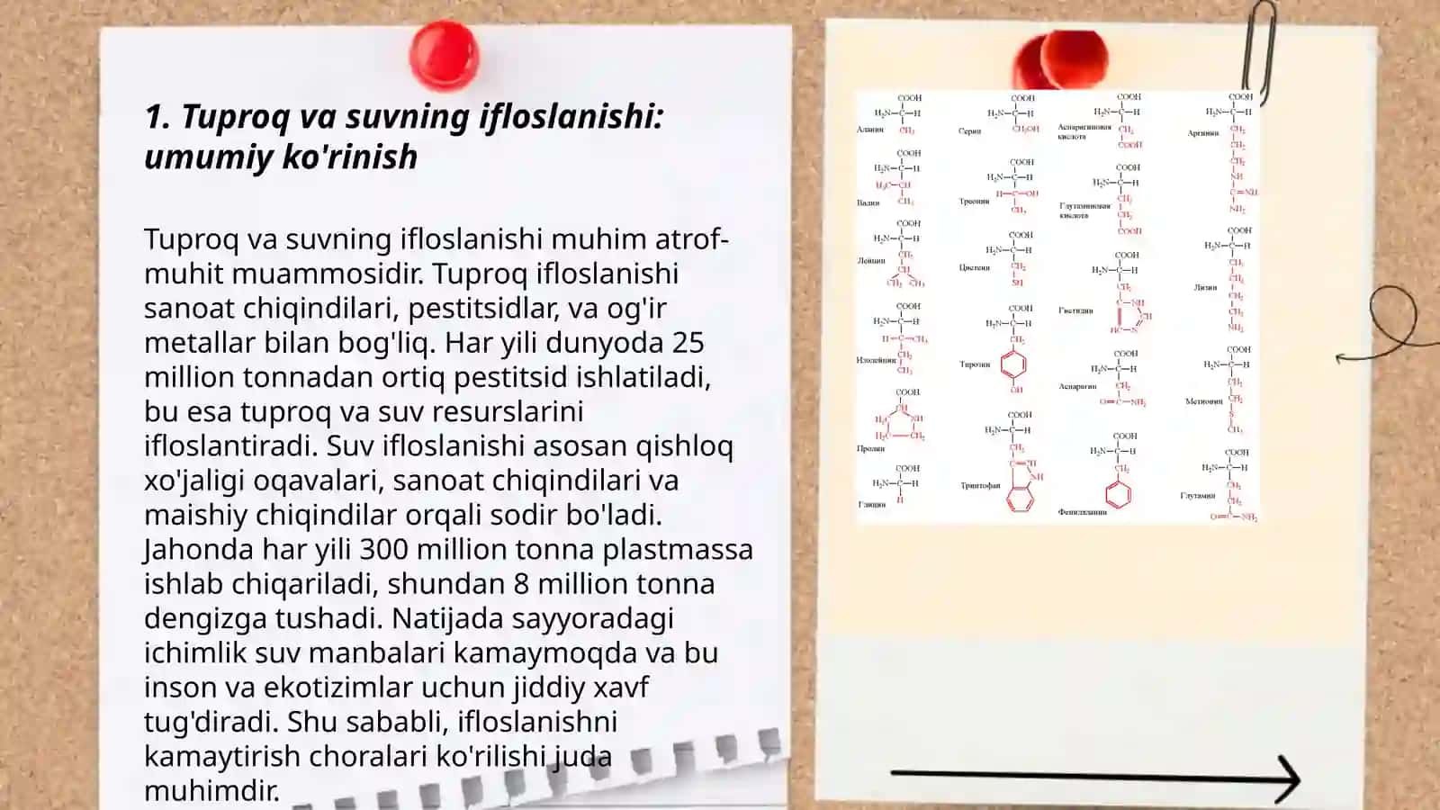 Tuproq va suvning ifloslanishi 3