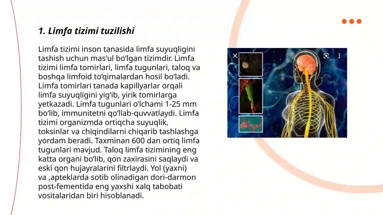 Limfa sistemasi 3