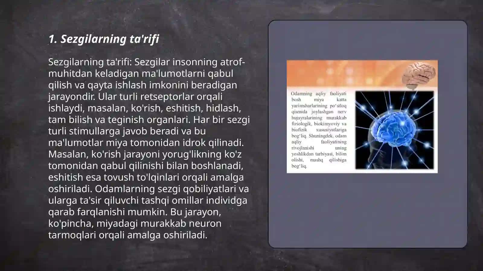 Sezgilar haqida umumiy tushuncha va uning nerv fiziologik asoslari 3