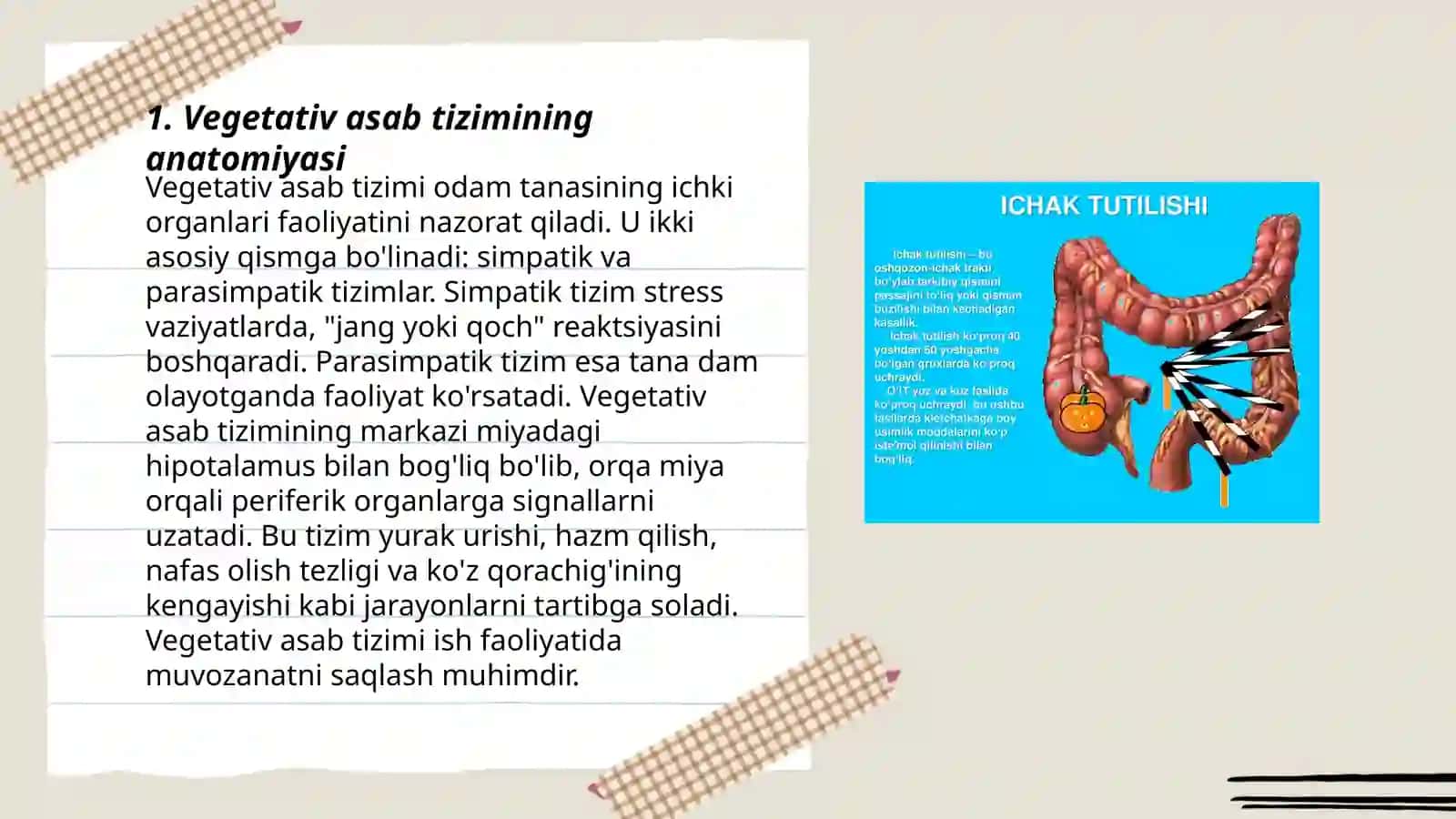 Vegetativ asab tizimi fiziologiyasi 3