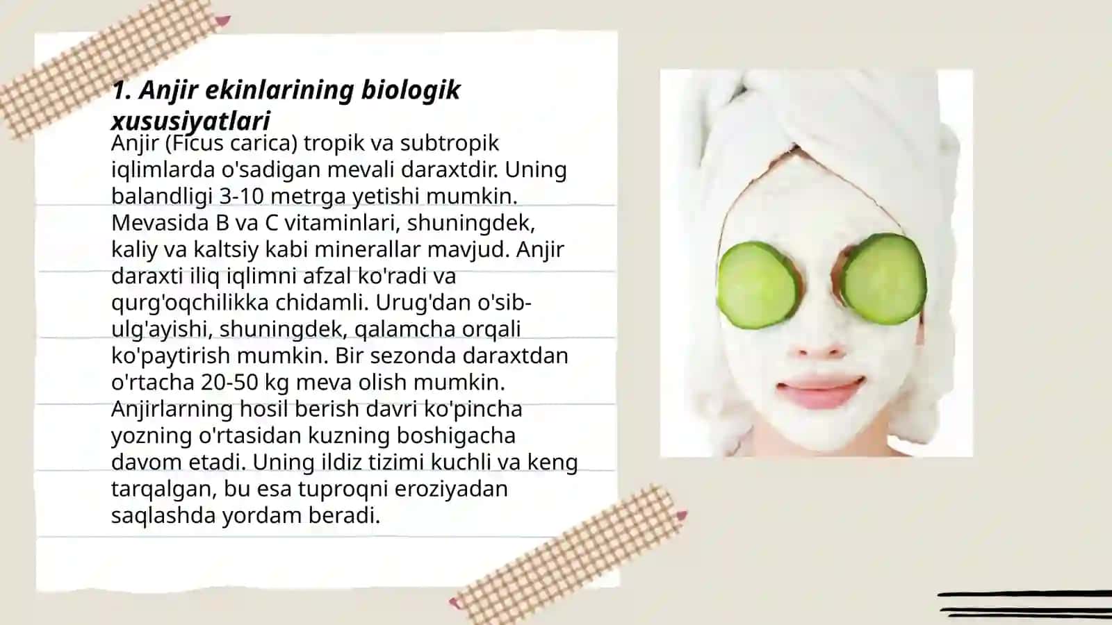 Anjir ekinlarining biologik xususiyatlari 3