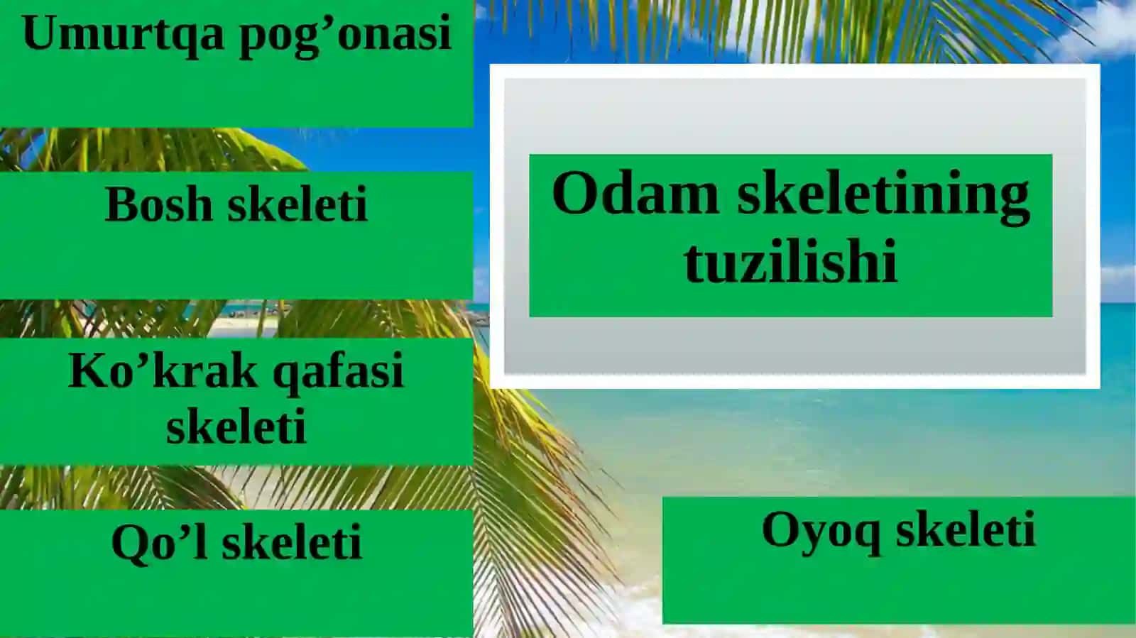 Tayanch-harakatlanish sistemasining tuzilishi, funksiyasi va ahmiyati 3