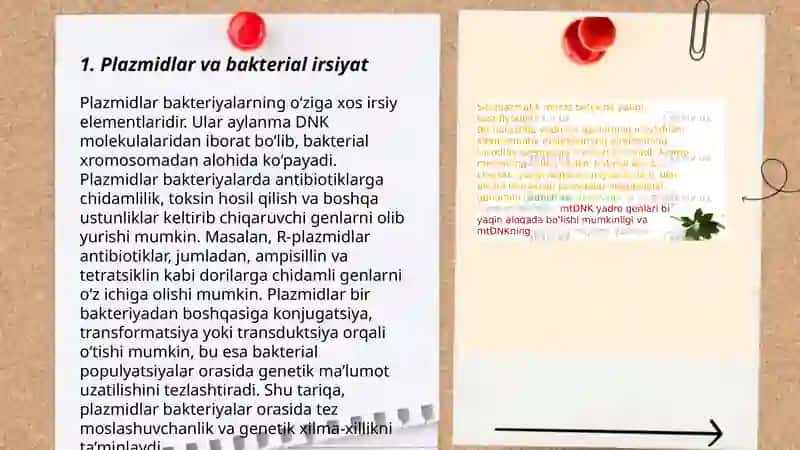 Mikroorganizmlarning genetikasi va o'zgaruvchanligi 3