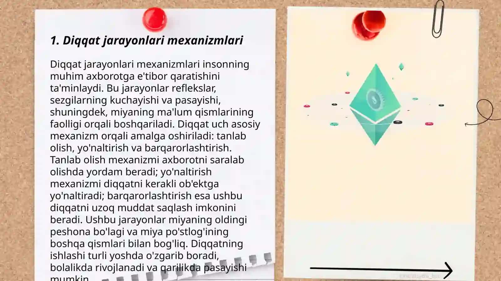 Diqqat mavzusi boʻyicha seminar ishlanma 3