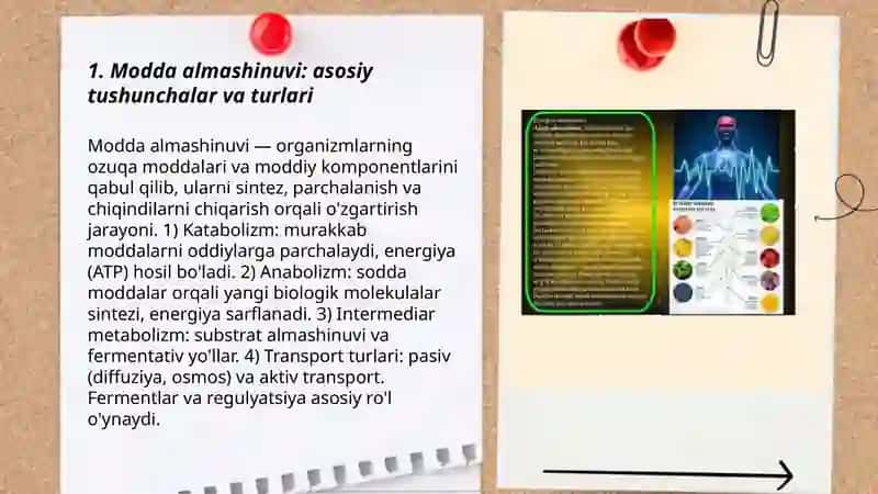 Modda va energiya almashinuvini tekshirish.Termoregulatsiya asoslari bilan tanishish 3