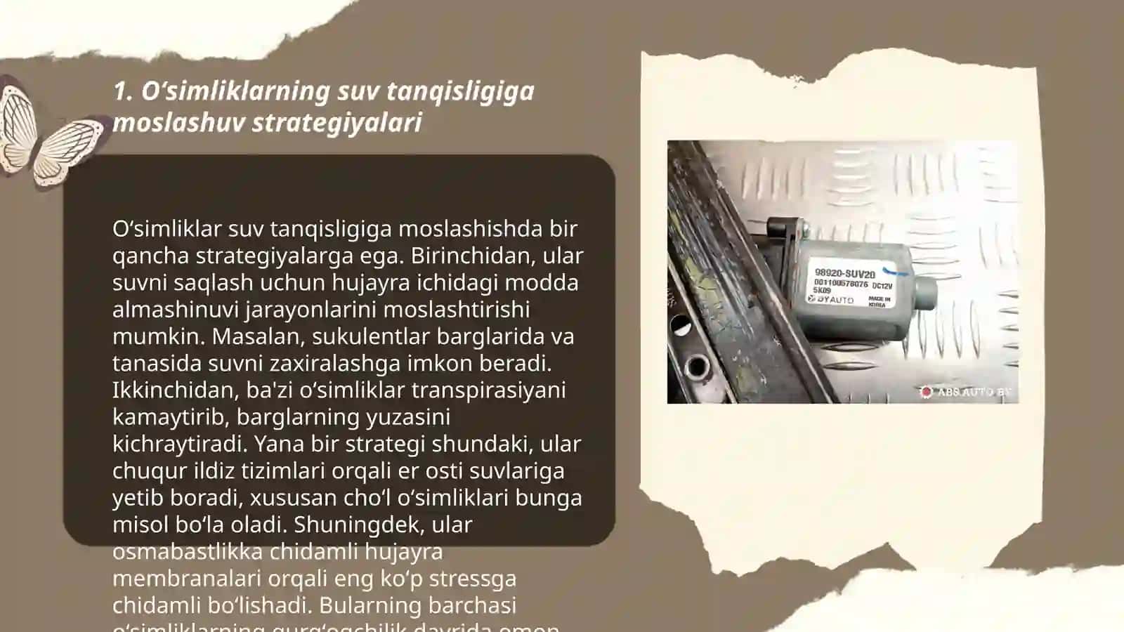 Oʻsimlik va hayvonlarda suv tanqisligiga moslashish 3