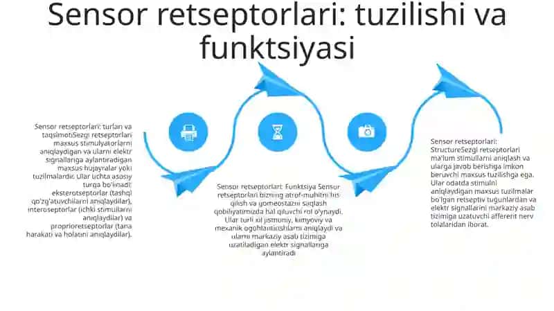 Sezgilarning Nerv-Fiziologik Asoslari 3