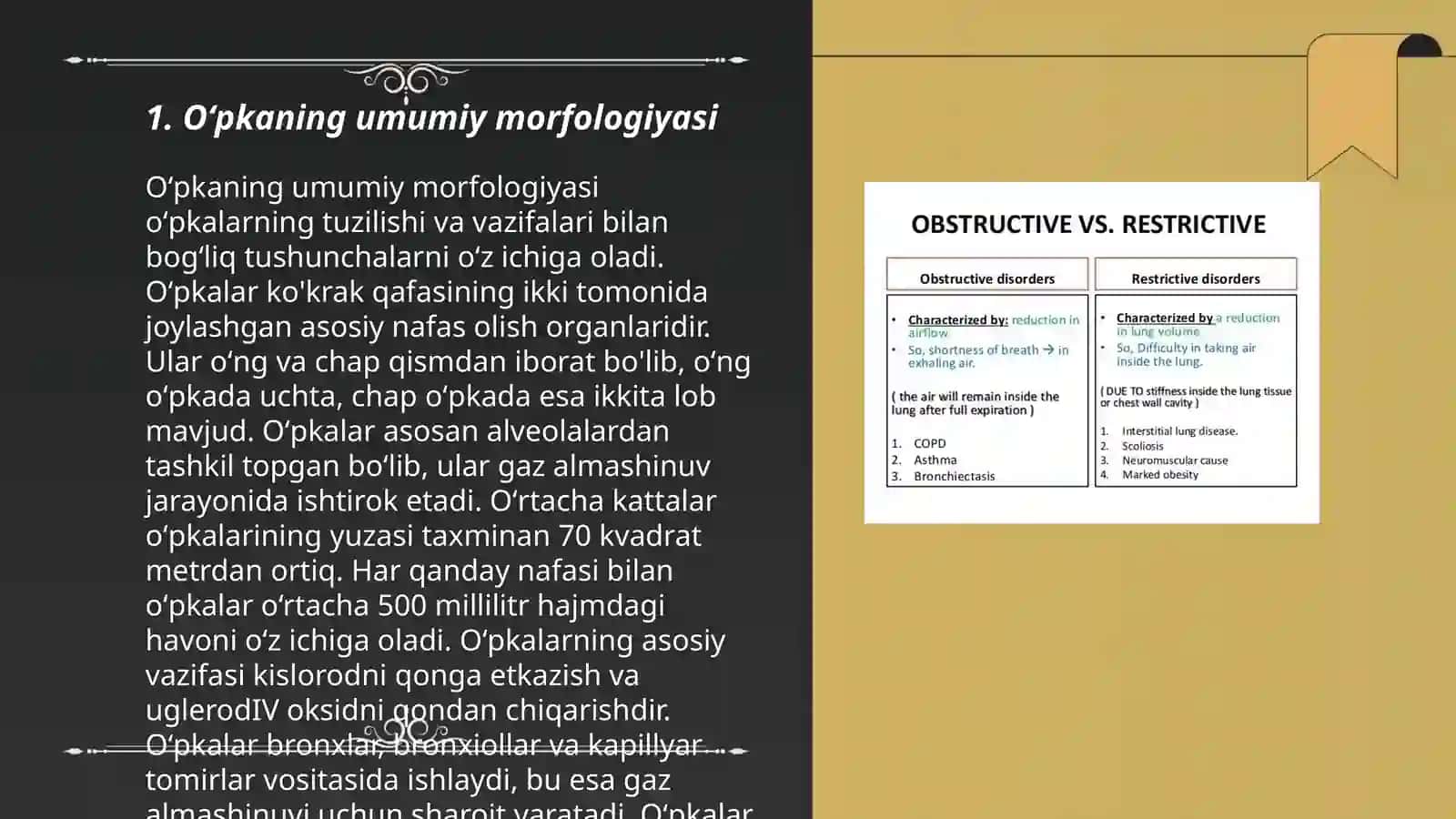 Oʻpkaning funksional morfologiyasi 3
