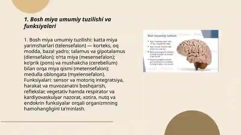 Bosh va orqa miya tuzilishi boʻliblari va faoliyati 3
