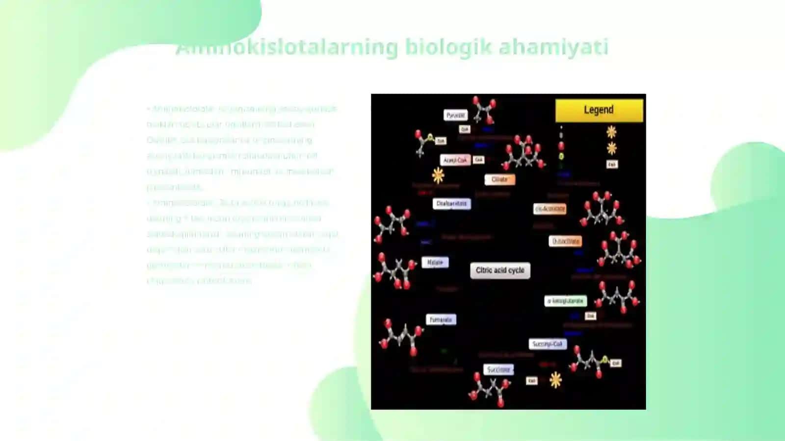Aminokislotalar kofermentlar garmonlar va vitaminlarning tarkibiy qismi sifatida 3