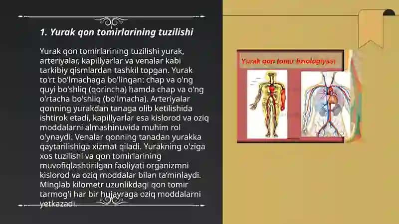 Yurak qon tomirlarinda bosimning tarqalishi 3