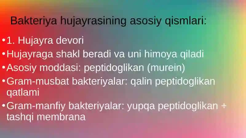 Bakteriya hujayrasining tuzilishi va kimyoviy tarkibi tuzilishi 3