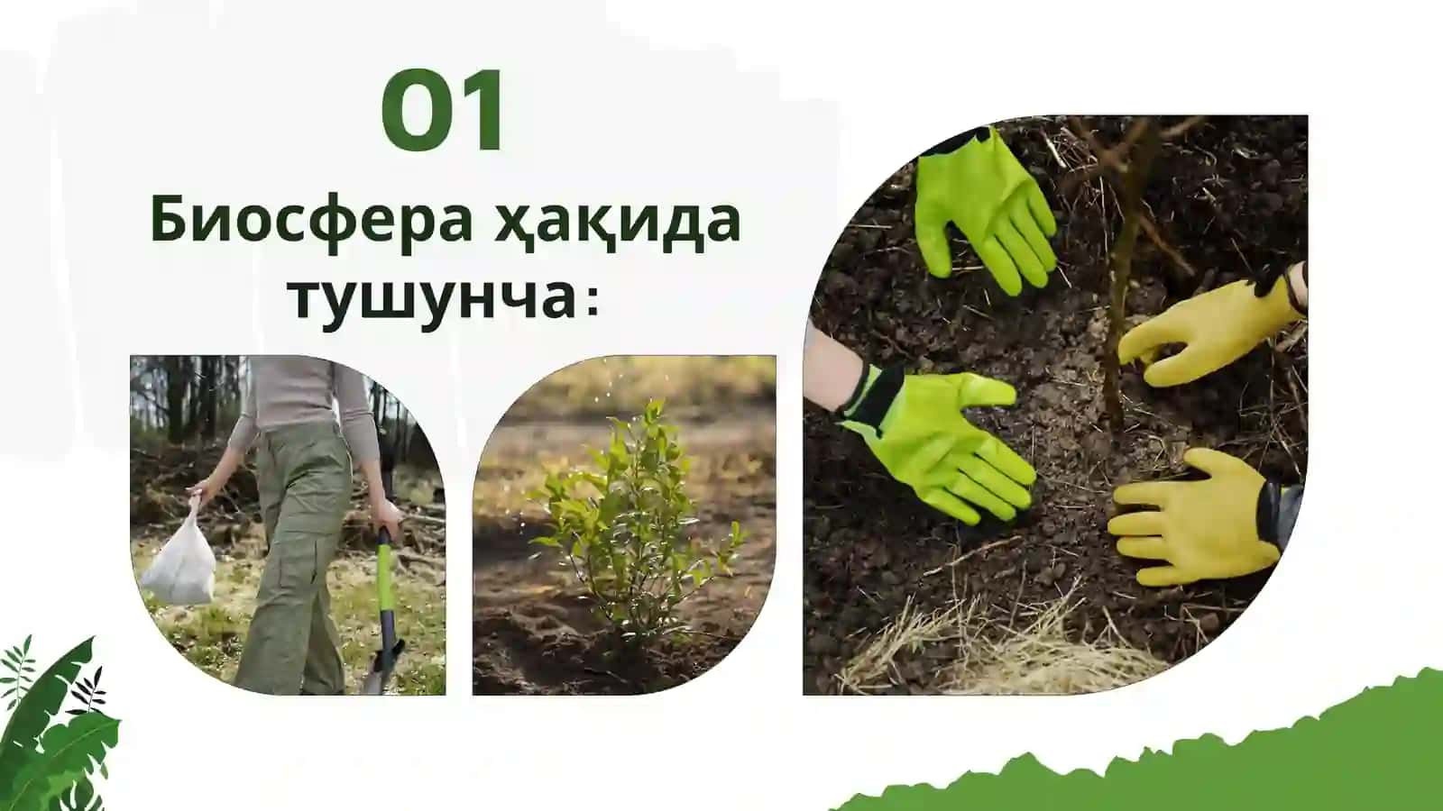 Биосфера ҳақида таълимот 3