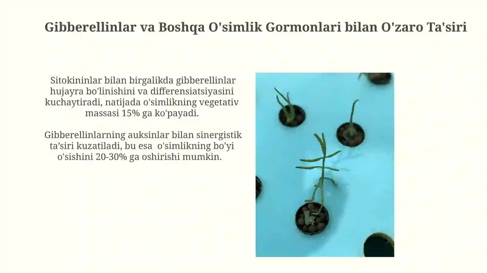 Gibberellinlar va Boshqa O'simlik Gormonlari bilan O'zaro Ta'siri 3