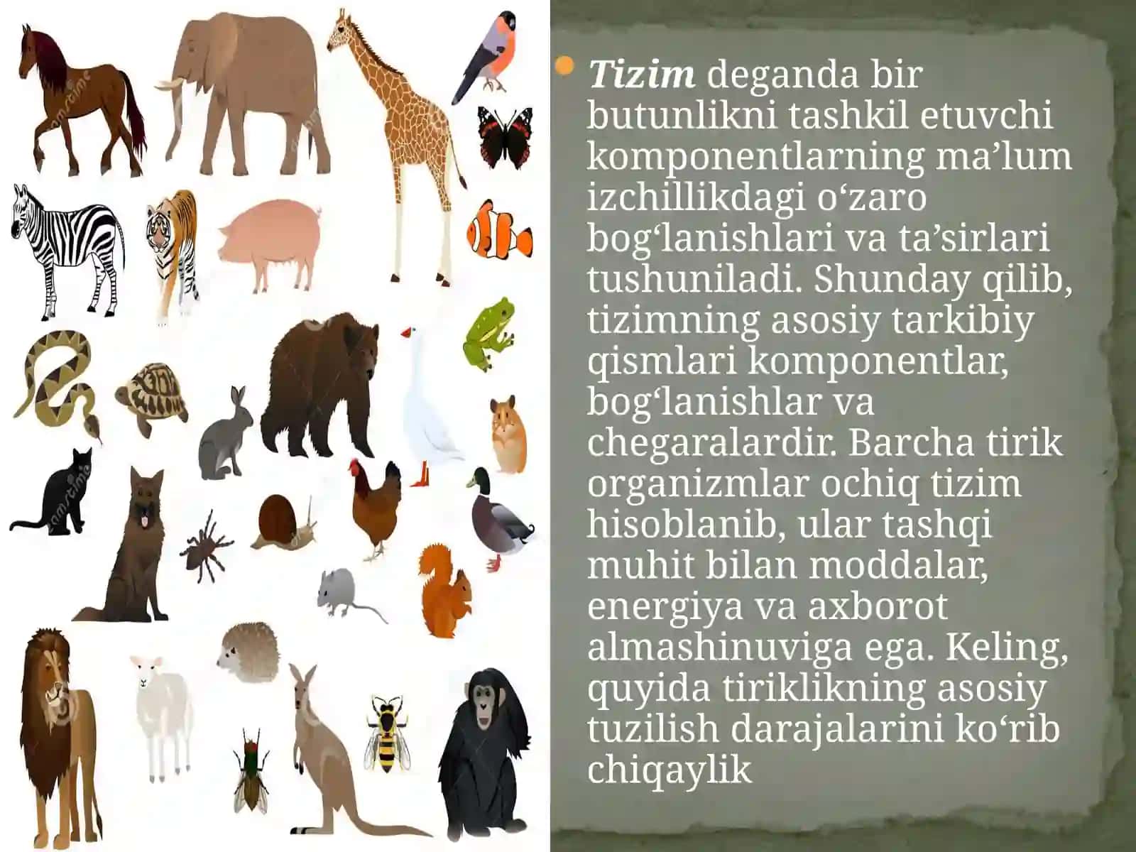 Biologiya. Sitologiya va genetika asoslari darsligi 3
