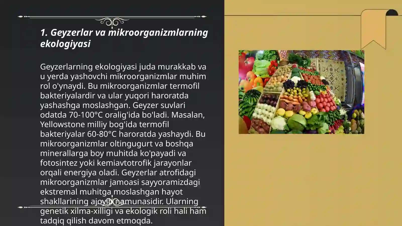 Geyzerlar va mikroorganizmlar 3