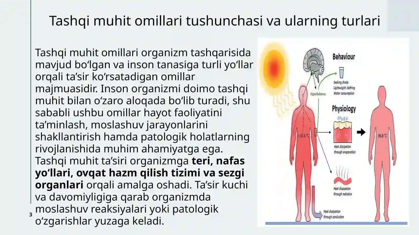 Tashqi muhit omillarining organizmga ta’sirining patofiziologik asoslari 3