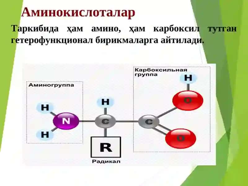 α- Аминокислоталар, Пептидлар ва Oқсиллар 3
