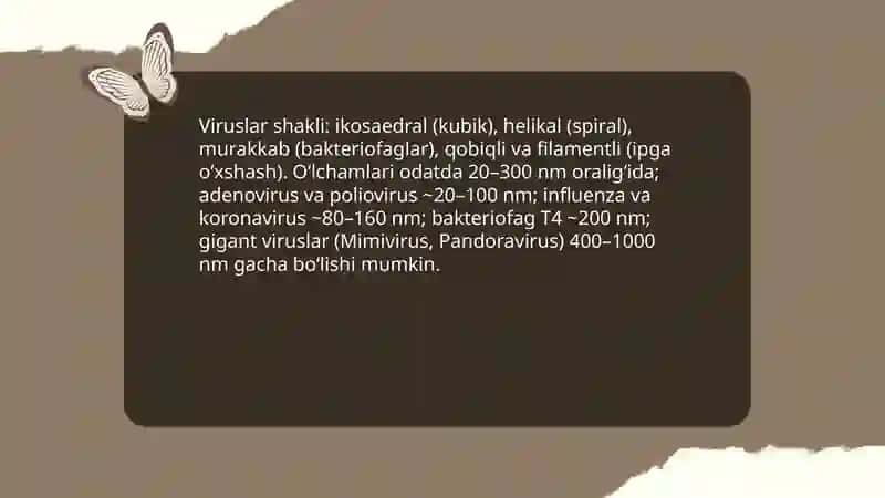 Viruslarning shakli, guruhlar va sistematikasi 3