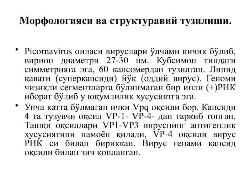 Пикорнавируслар оиласиPicornaviridae 3